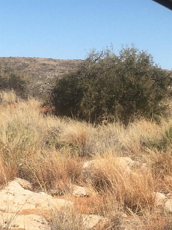 0 Bedroom Property for Sale in Prieska Northern Cape